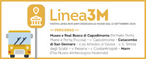 Linea 3M