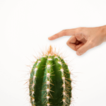 cactus.png