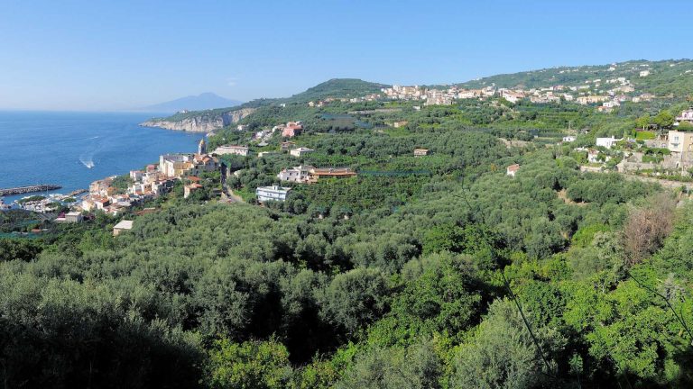 I sentieri di Massa Lubrense: trekking con vista mare