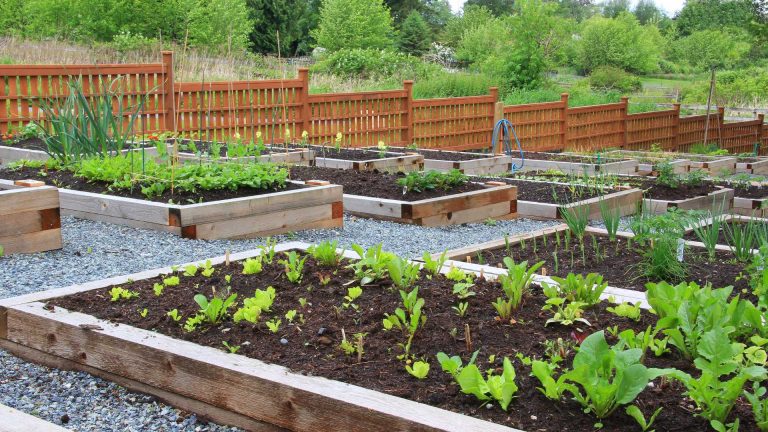 I migliori tetti verdi e giardini pensili vista mare