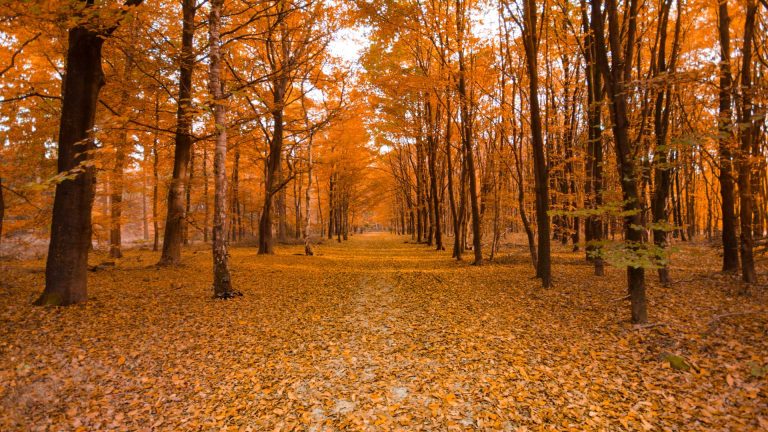Colori e sapori d’autunno in Penisola – viaggi fuori stagione