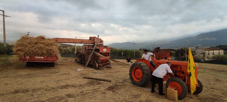 Un tuffo nel cuore rurale del Cilento: a Roccadaspide torna la “Festa della Civiltà Contadina e della Trebbiatura”