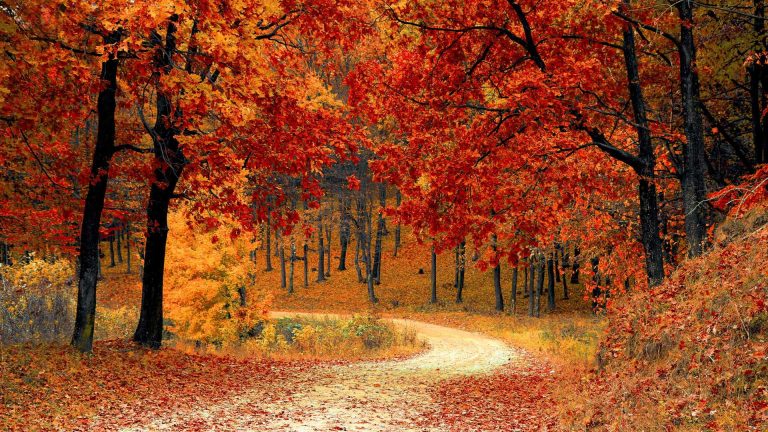 La Costiera Amalfitana in autunno: colori, sapori e relax