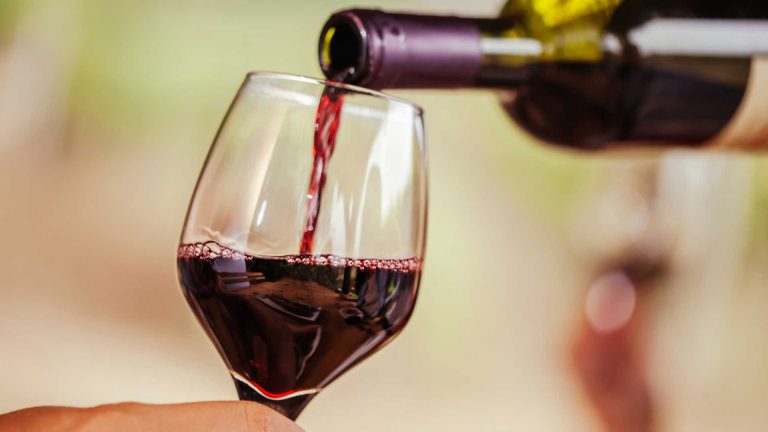Tramonti, il paese del vino – vitigni, cantine, degustazioni