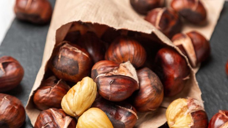 Pimonte e la raccolta delle castagne: autunno tra boschi e racconti