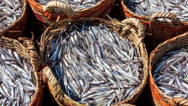 La sagra della colatura a Cetara: un weekend tra pesce, tradizione e degustazioni