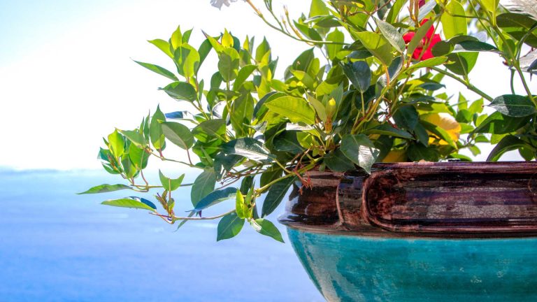 Le ceramiche di Vietri sul Mare: visita alle botteghe storiche
