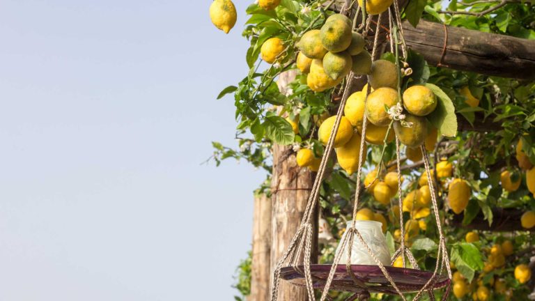 Primavera in Costiera Amalfitana: cosa fare tra marzo e maggio