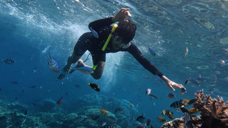 Spiagge migliori per lo snorkeling in Costiera Sorrentina