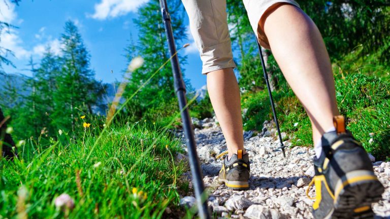 Trekking tra limoneti e uliveti a Massa Lubrense