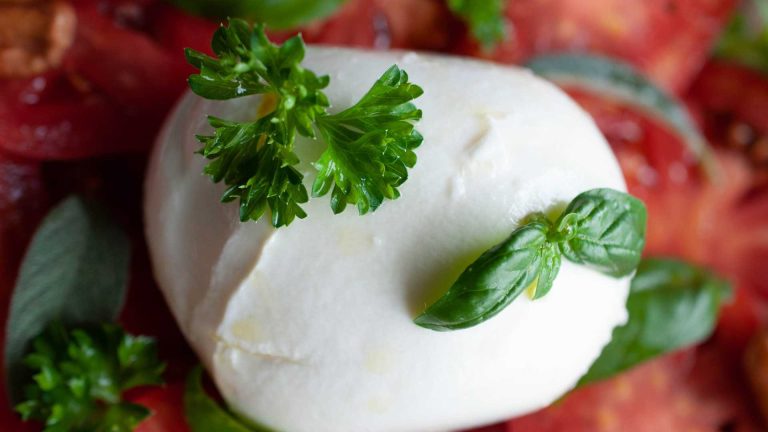 Fior di latte e formaggi dei Monti Lattari: dove assaggiarli dalla Costiera Sorrentina