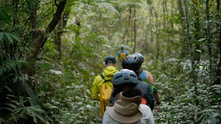 Passeggiate sui sentieri di Lettere: tre domeniche tra natura, storia e panorami mozzafiato