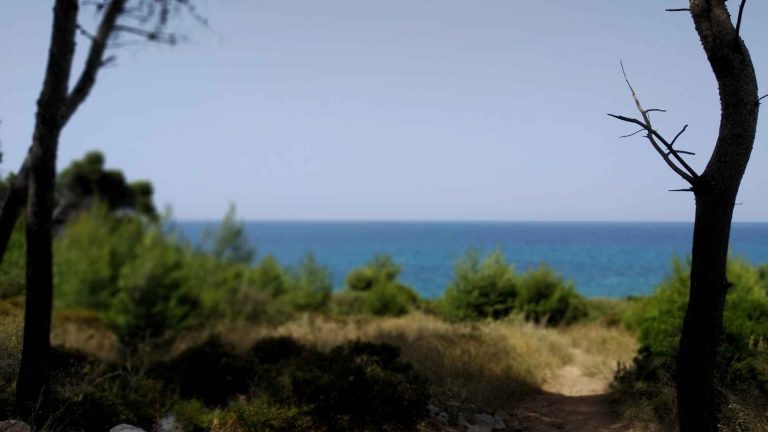 Come arrivare a Marina del Cantone e dove parcheggiare nei periodi più affollati