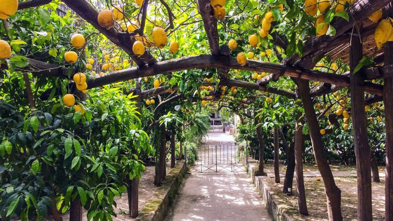 I punti panoramici più belli del Sentiero dei Limoni