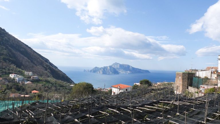 Dove dormire a Massa Lubrense: scegli la zona giusta
